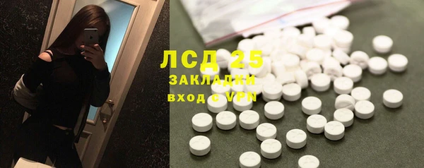 дурь Няндома