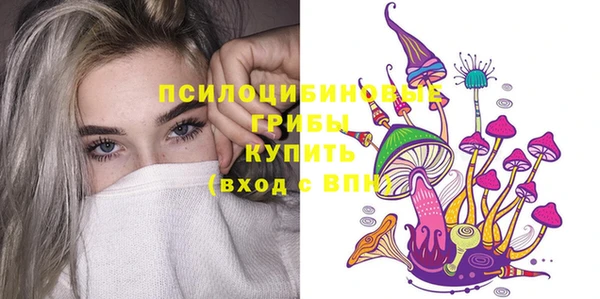 СК Алзамай