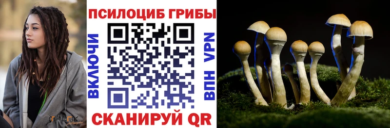 Псилоцибиновые грибы Psilocybe  закладка  Кукмор 